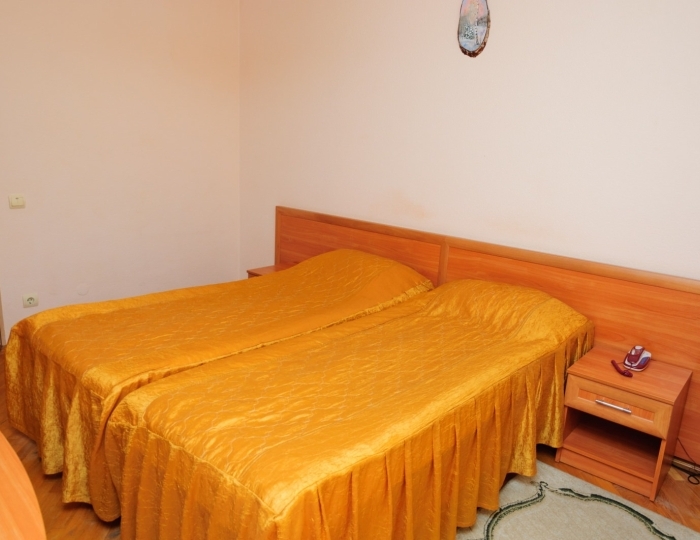 Стандарт 1-комнатный 1-местный - Санаторий «Виктория» Кисловодск